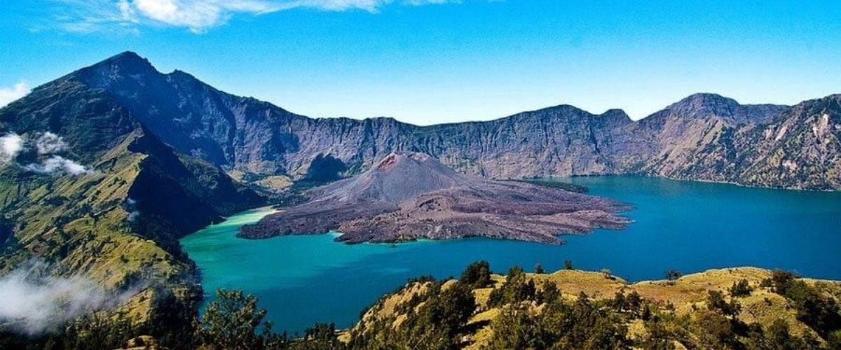 Close-up wildlife portrait